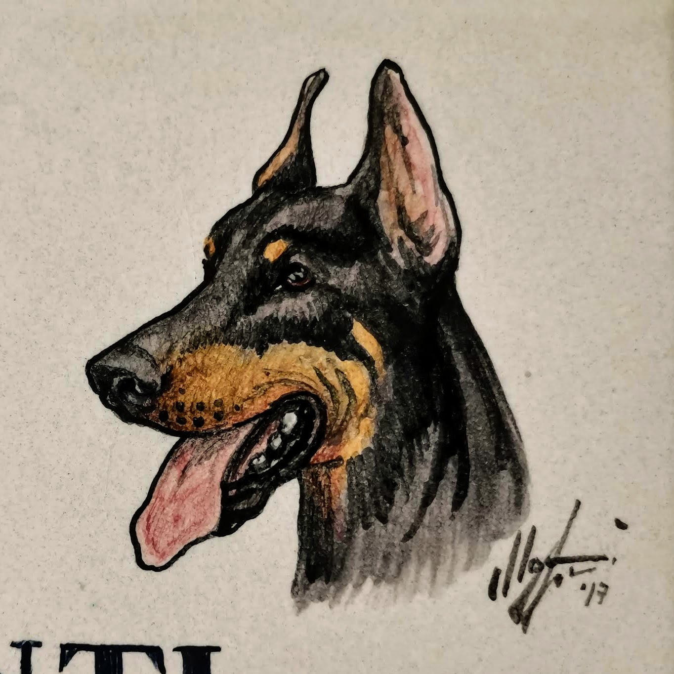 Targa Personalizzata 'Attenzione Al Cane' – Pastore Belga Tervueren – Cartello 3D Per Esterno Con Viti Inox (30x18 Cm)